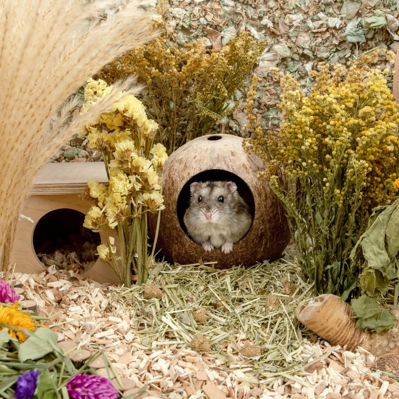 andwe Coconut Hut Hamster House Bed for Gerbils Mice Small Animal Cage Habitat Decor - Image 4